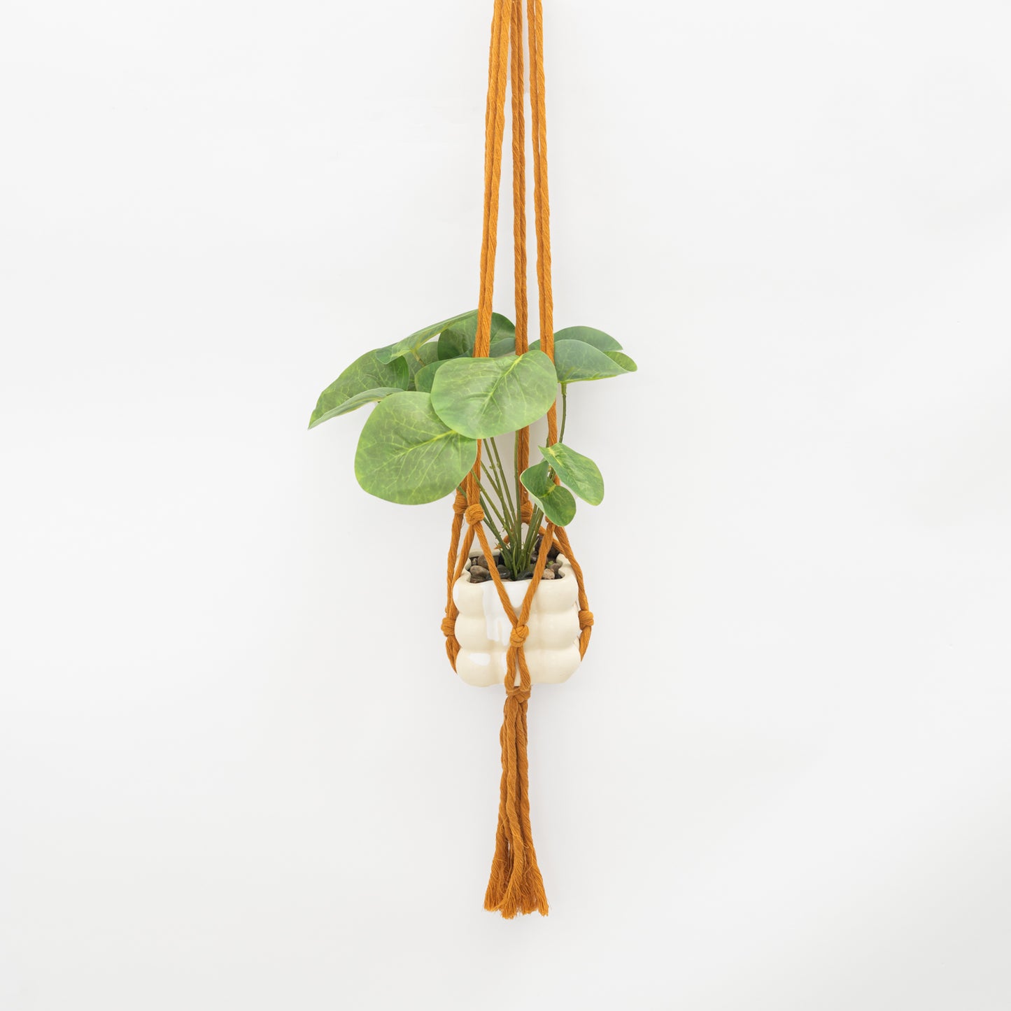 Flourish Plant Hanger Mustard