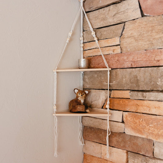 Corner Hanging Shelf